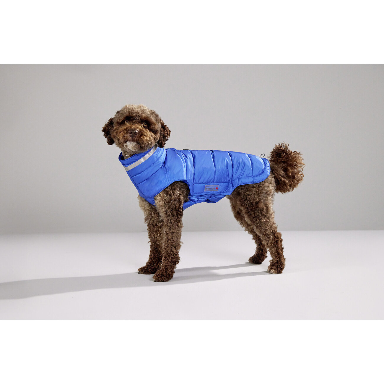 Steppjacke Hund Cosy Bild 12