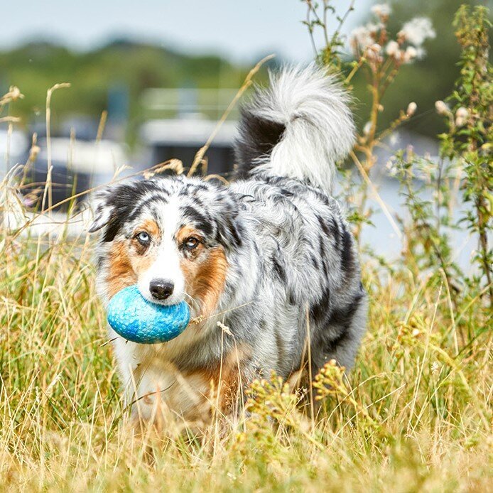 Wolters Straußenei Hundespielzeug Bild 2