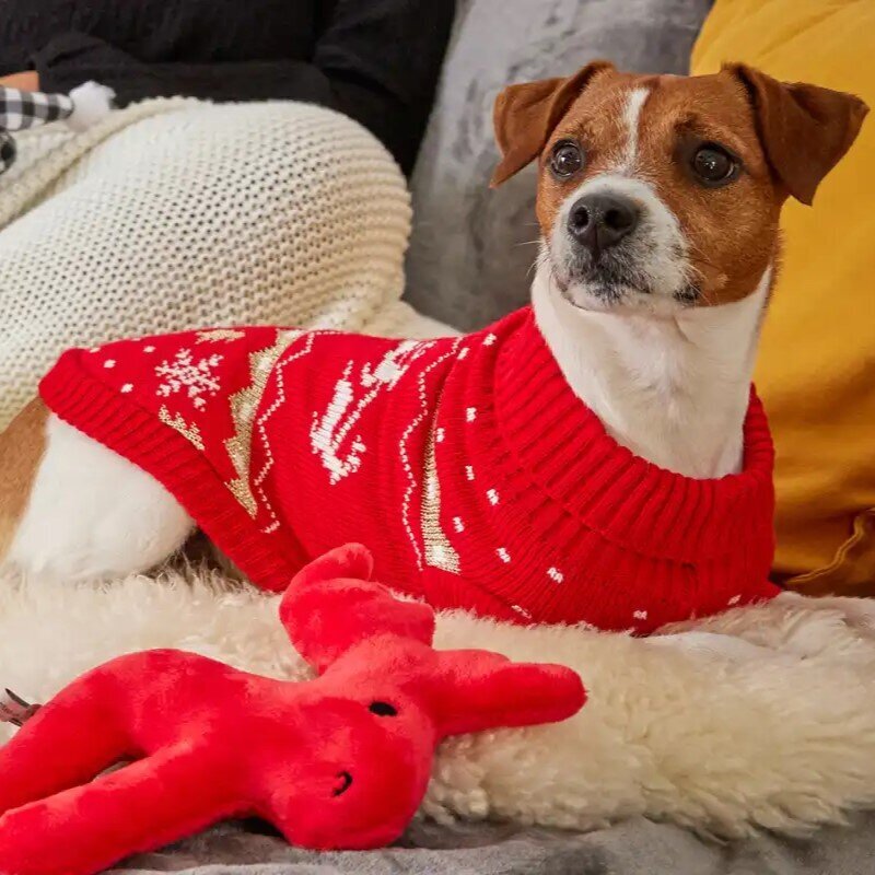 Strickpullover Santa Bild 2