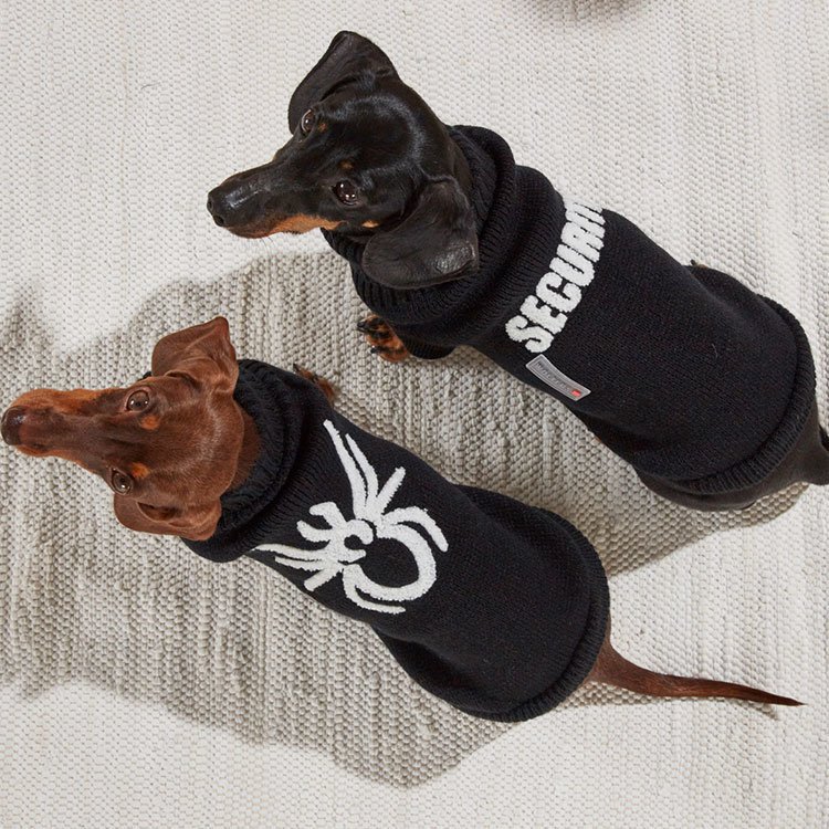 Wolters Strickpullover Spider Bild 2