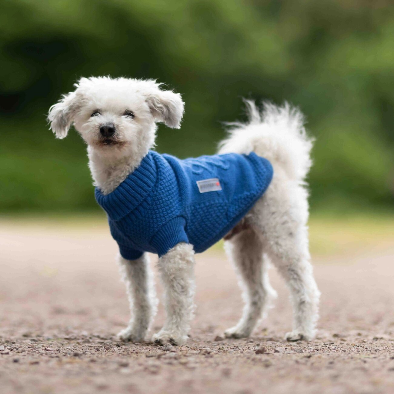 Strickpullover Tristan Bild 2