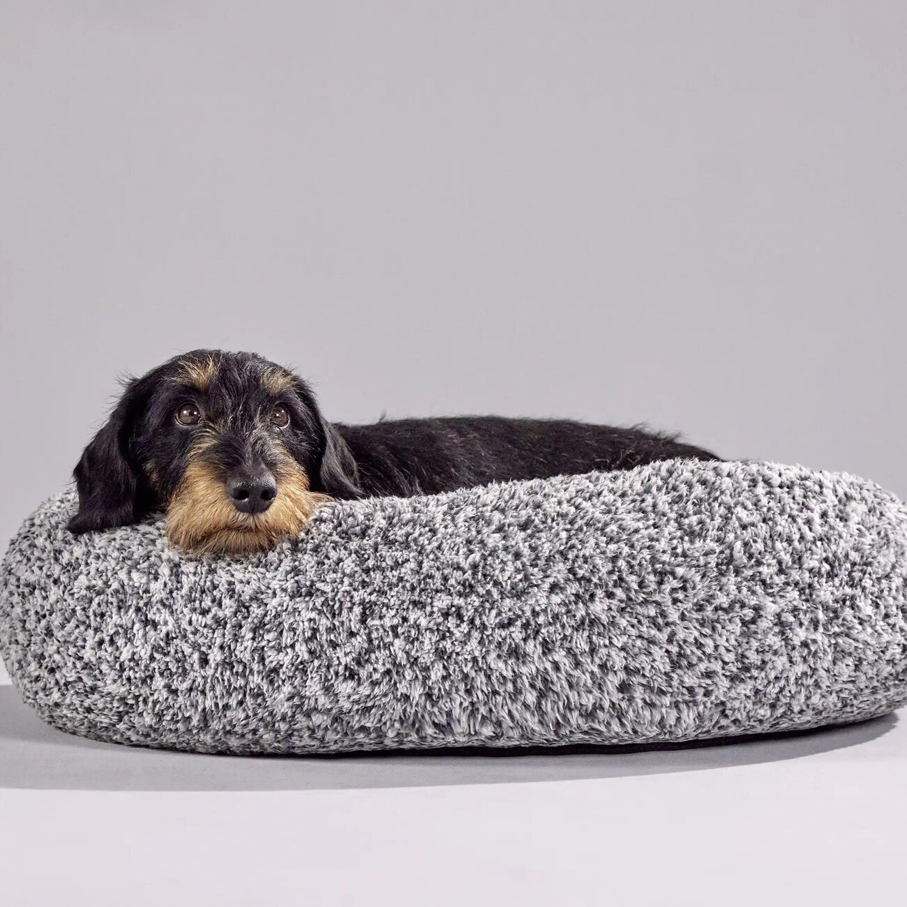 Sweet Dreams Hundekörbchen Bild 4