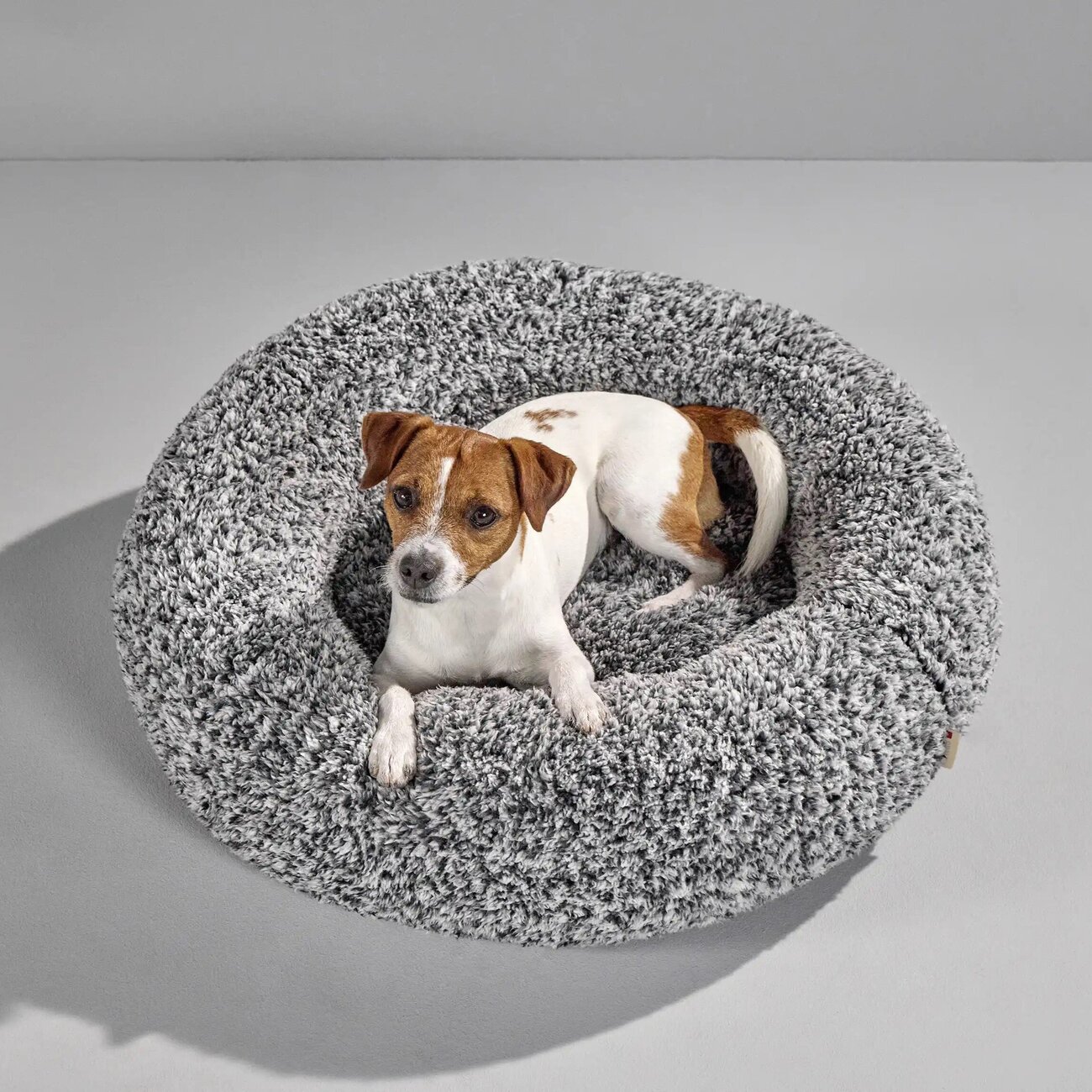 Sweet Dreams Hundekörbchen Bild 3
