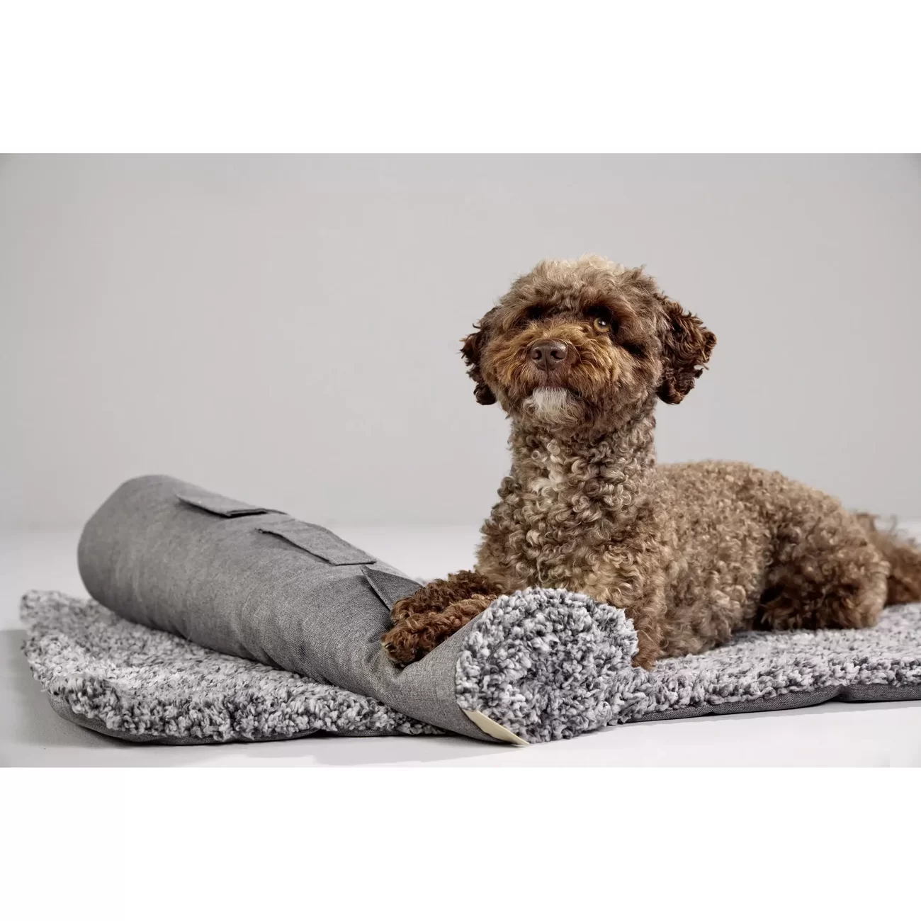 Sweet Dreams Reisedecke für Hunde Bild 3