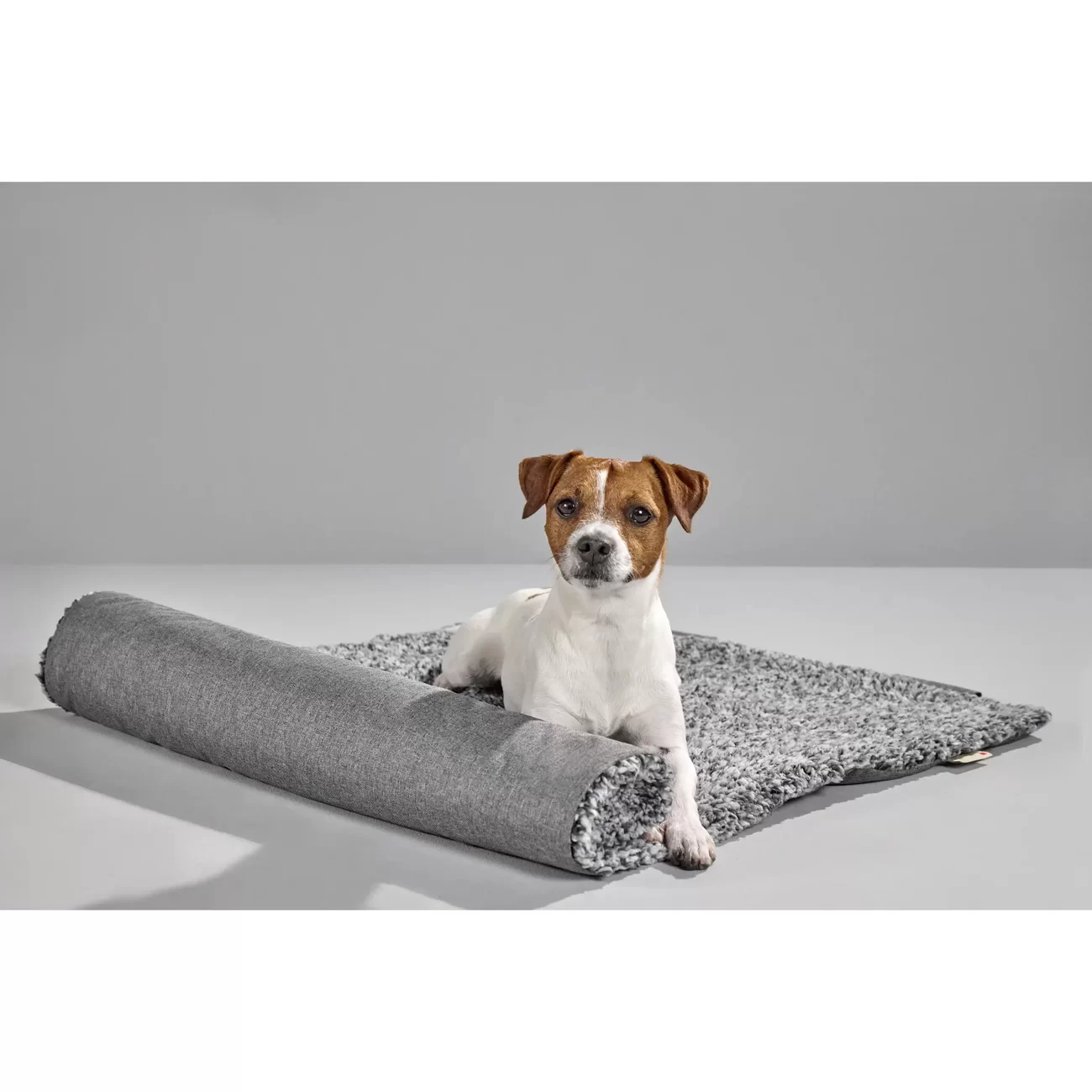 Sweet Dreams Reisedecke für Hunde Bild 6