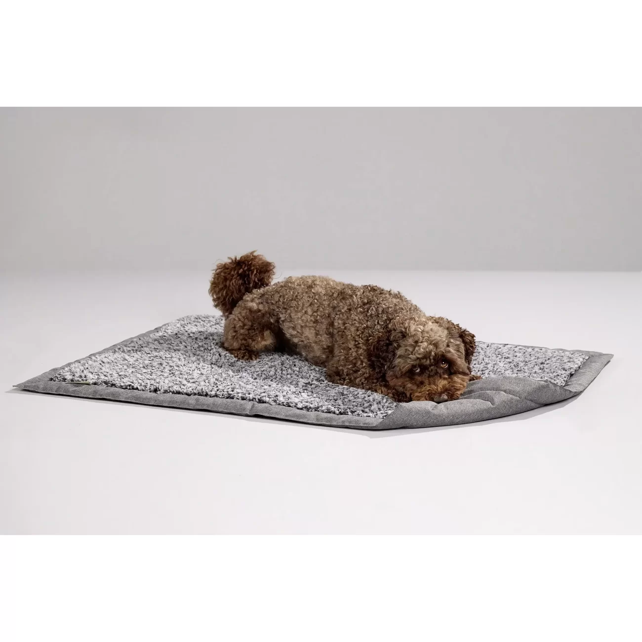 Sweet Dreams Sofadecke für Hunde Bild 3