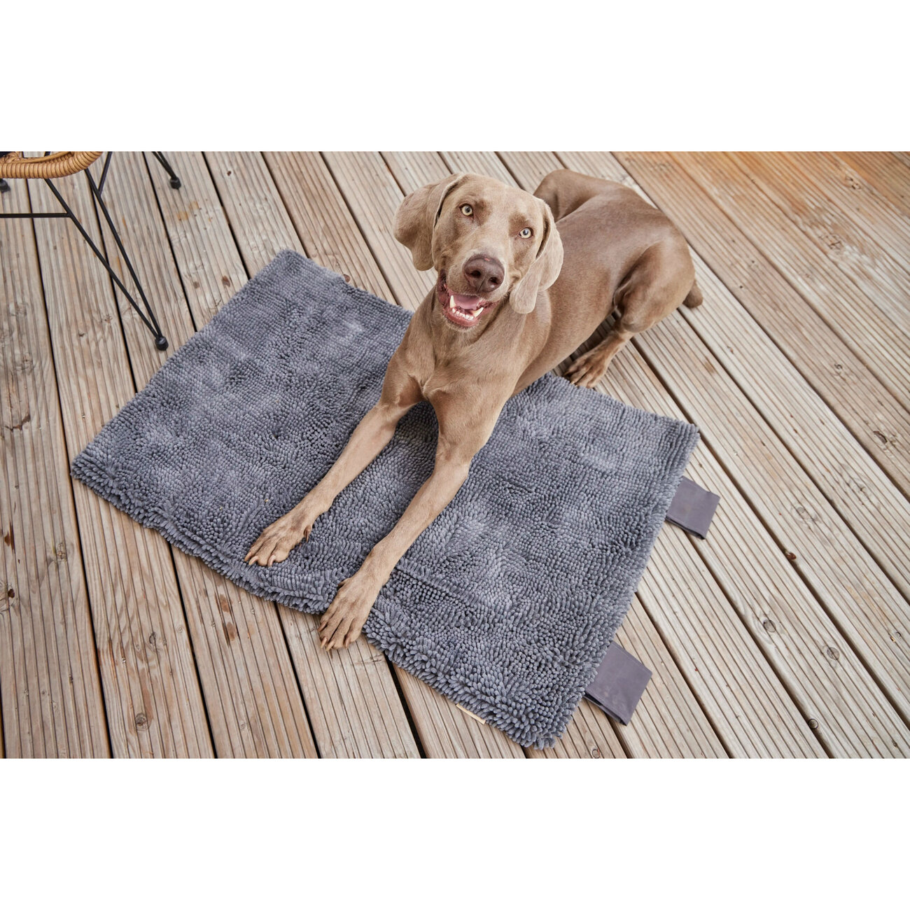 Vagabund Hunde Reisedecke meets Cleankeeper Bild 3