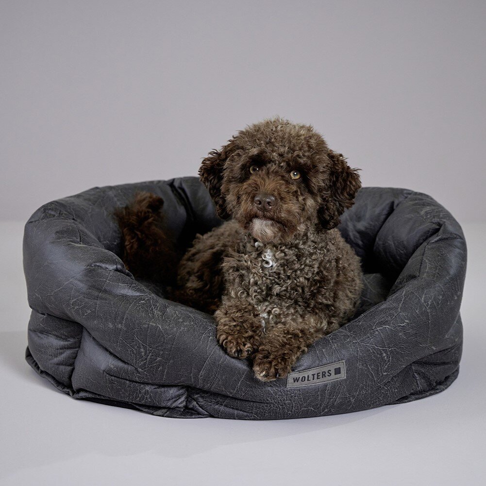 Vintage Hundekörbchen Bild 2