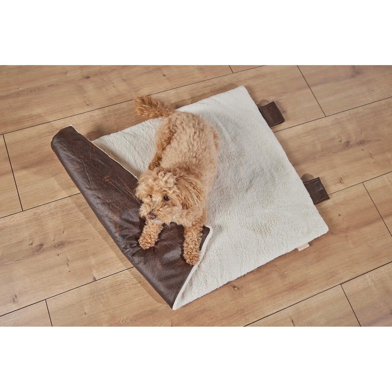 Vintage Vagabund Reisedecke für Hunde Bild 8