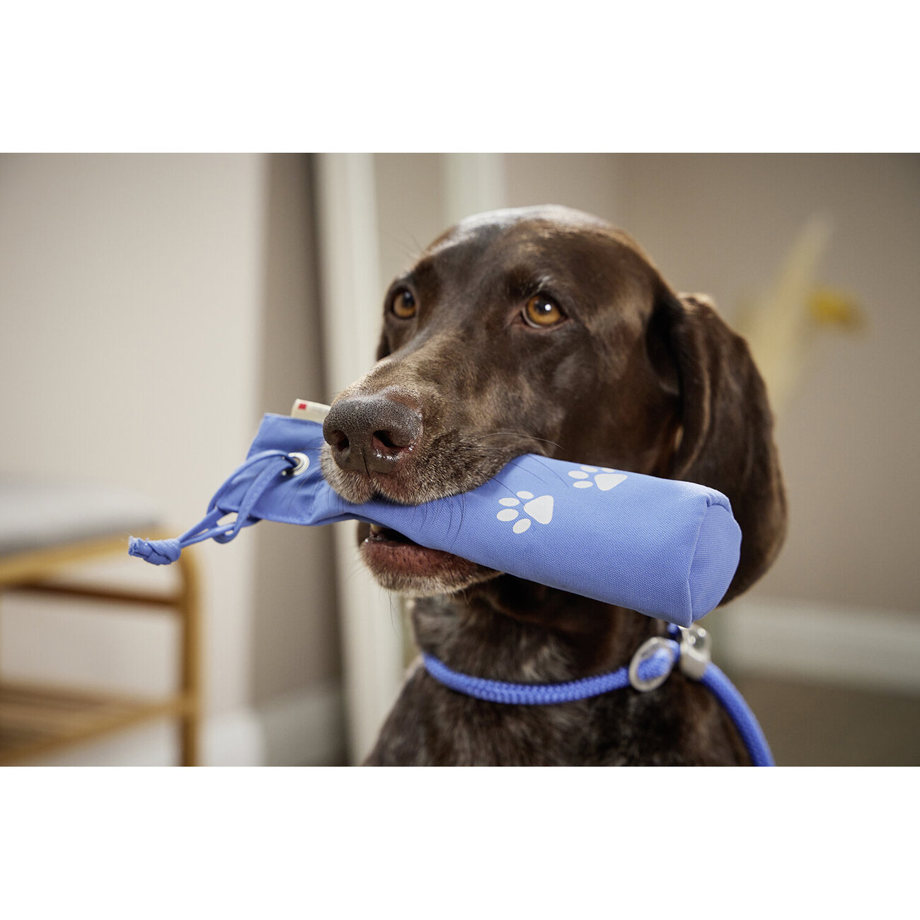 Walkie Dummy zur Ausbildung Bild 2