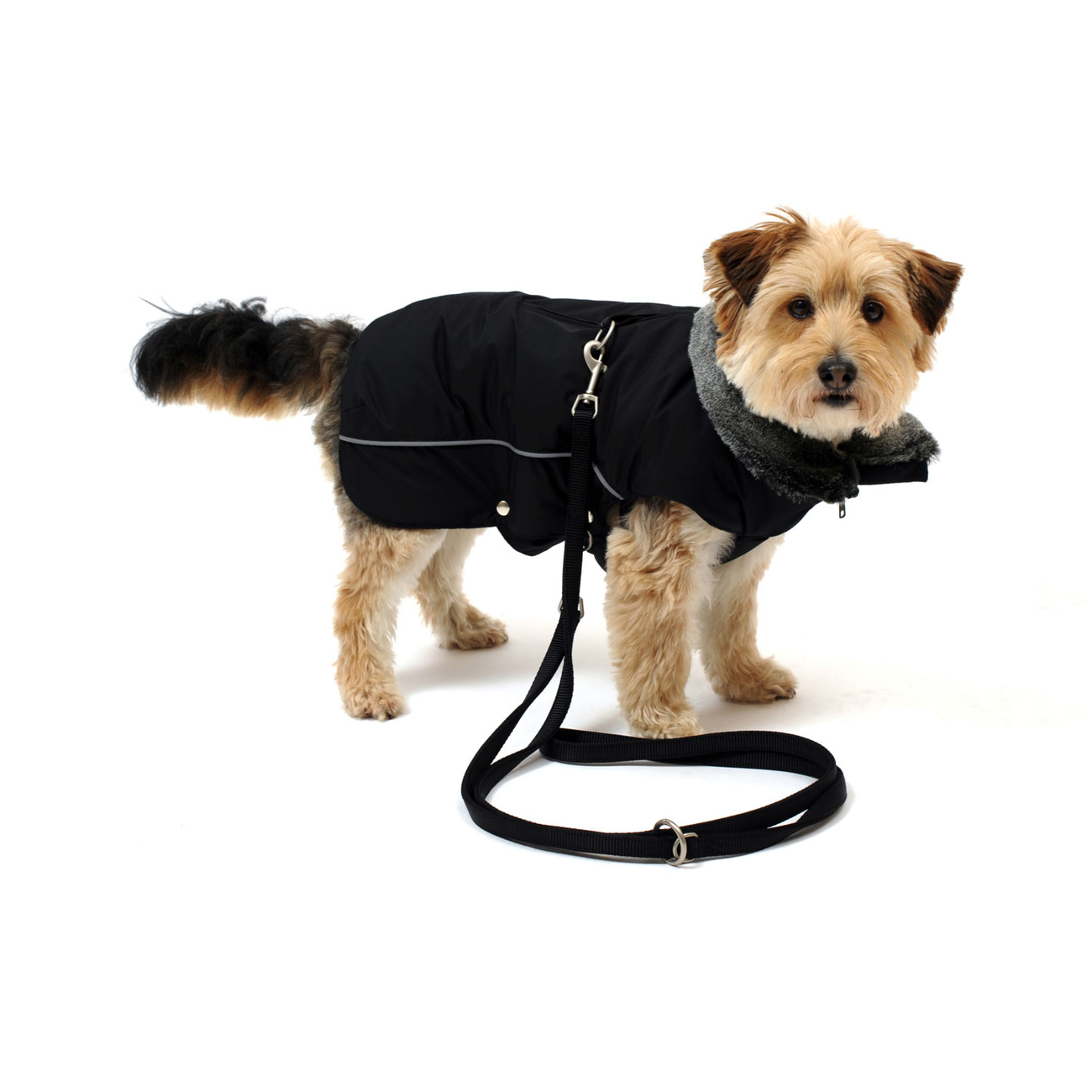 Wolters Winterjacke für Hunde Amundsen Bild 5