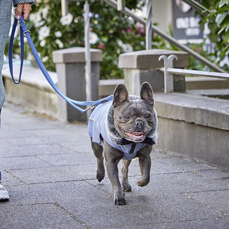 Wolters Winterjacke für Hunde Amundsen Bild 18