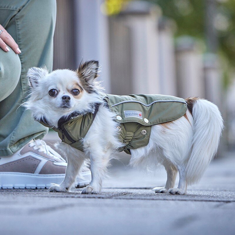 Wolters Winterjacke für Hunde Amundsen Bild 20