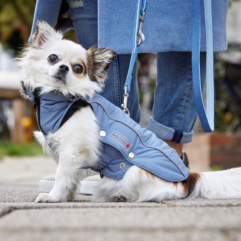 Wolters Winterjacke für Hunde Amundsen Bild 21