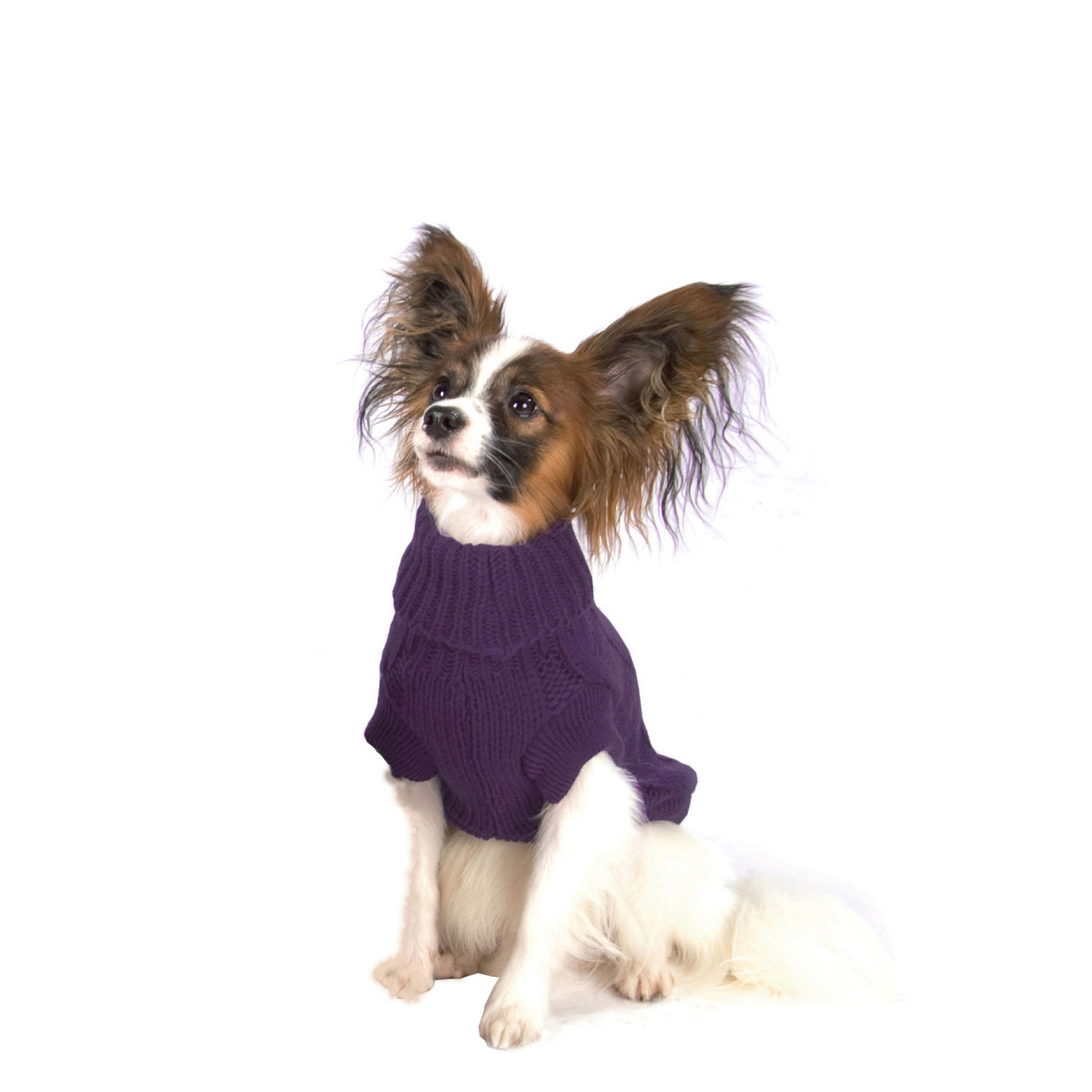 Wolters Zopf-Strickpullover für Hunde Bild 10