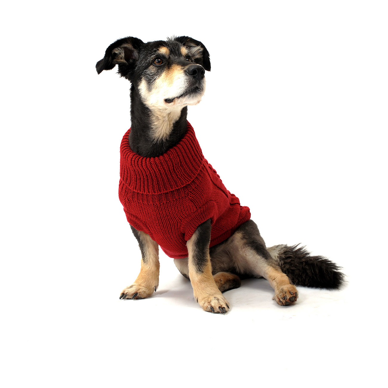 Wolters Zopf-Strickpullover für Hunde Bild 12