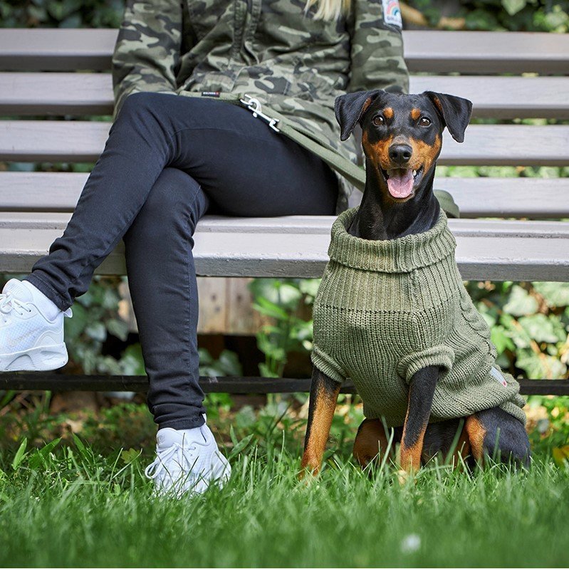 Wolters Zopf-Strickpullover für Hunde Bild 2