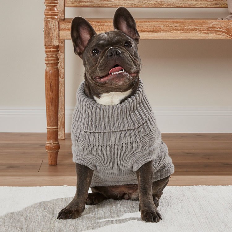 Wolters Zopf-Strickpullover für Mops und Co Bild 4