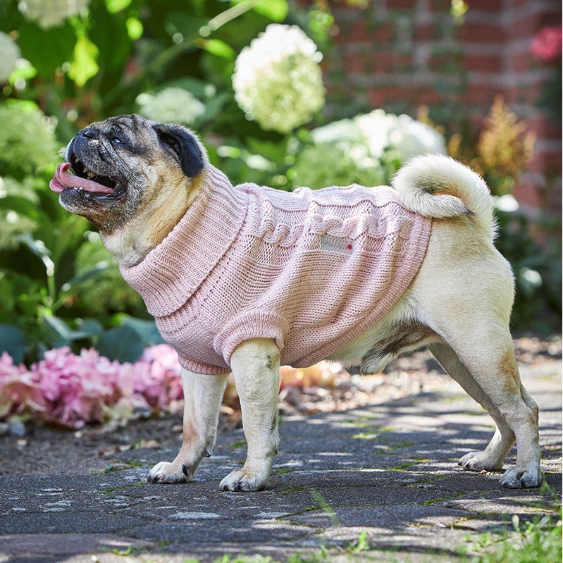 Wolters Zopf-Strickpullover für Mops und Co Bild 2