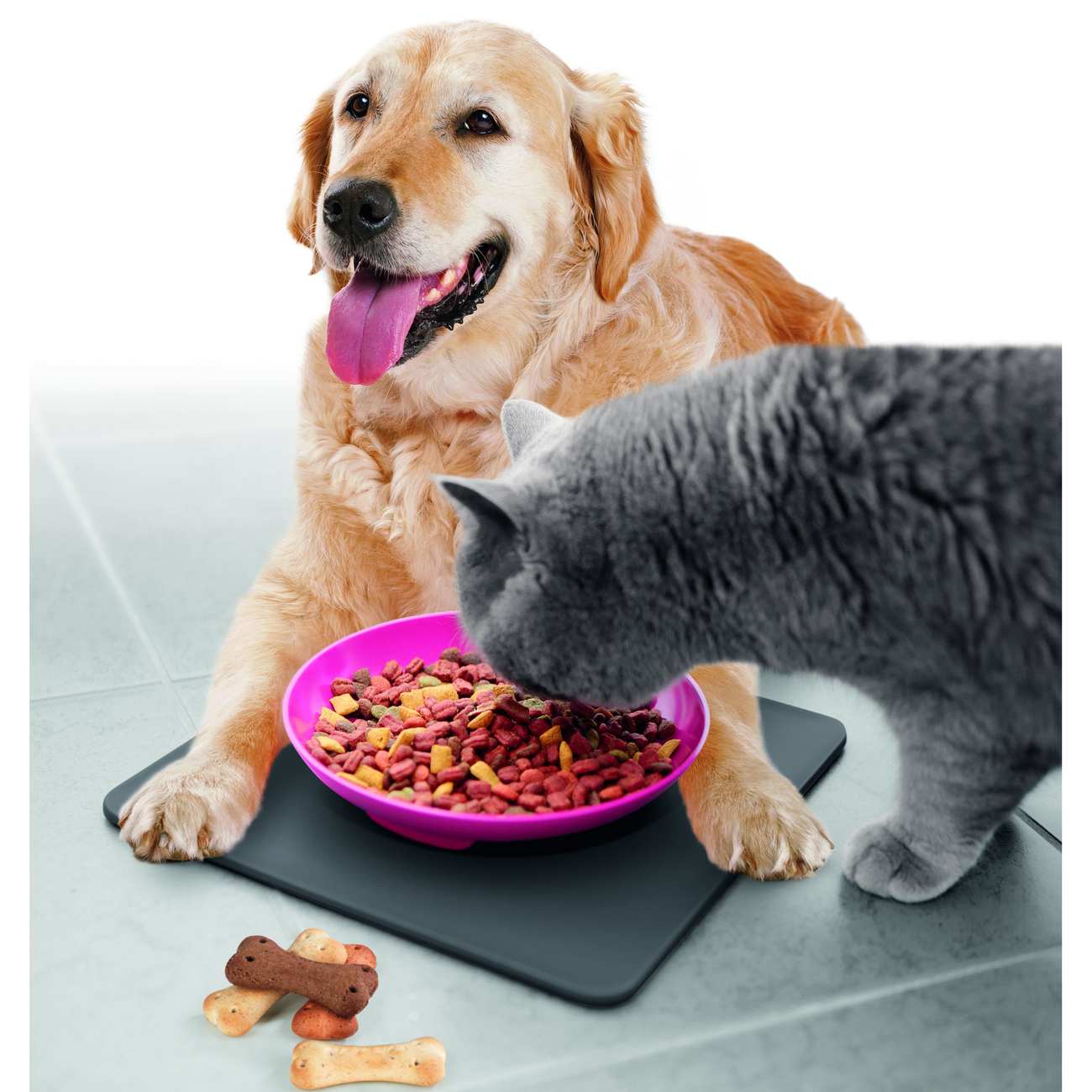 Yummynator aus Höhle der Löwen Bild 5