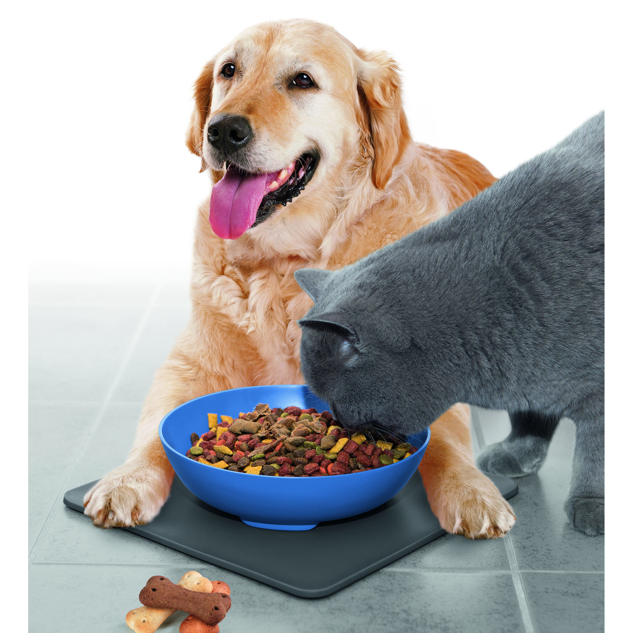 Yummynator aus Höhle der Löwen Bild 11