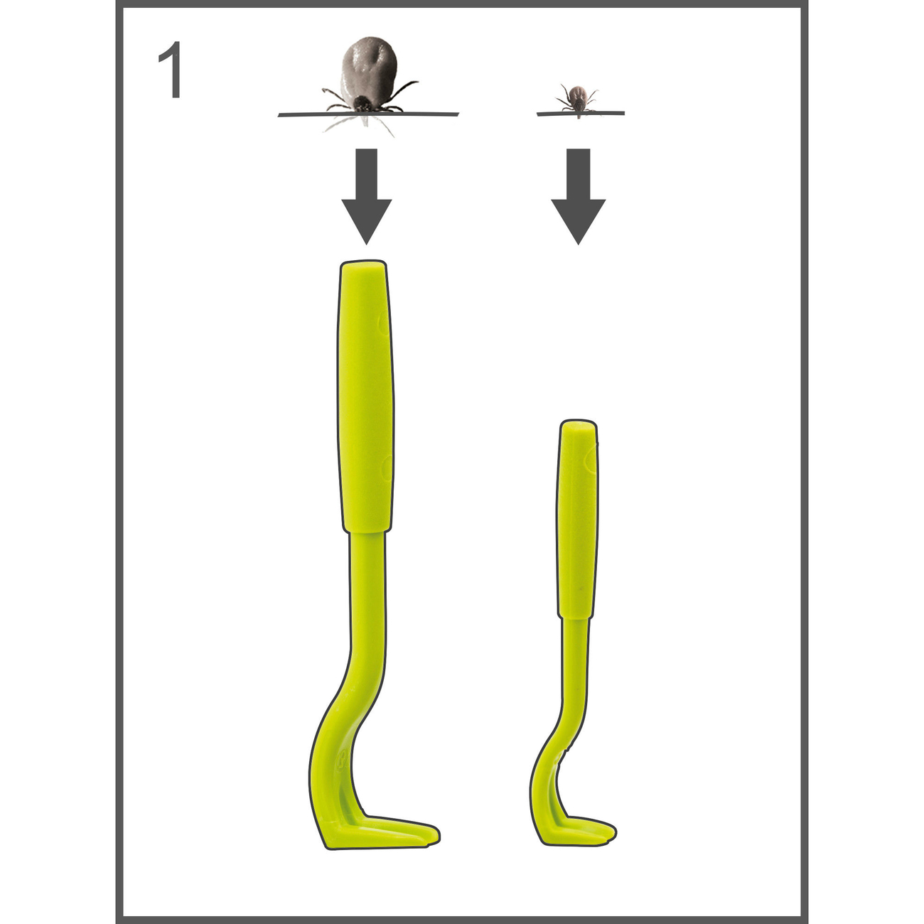 Zeckenhaken O‘Tom Tick Twister Bild 4