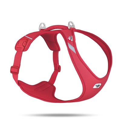 Curli All New Belka Harness Air-Mesh Comfort für Hunde | tiierisch.de