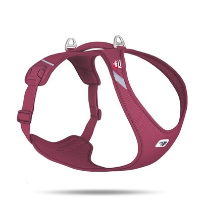 Curli All New Belka Harness Air-Mesh Comfort für Hunde | tiierisch.de