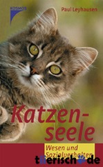 Katzenbuch Katzenseele
