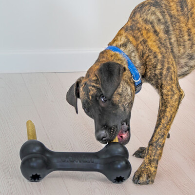 KONG Extreme Goodie Bone XL