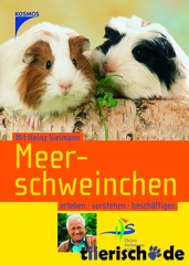 Meerschweinchen / Toll