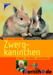 Zwergkaninchen / Toll