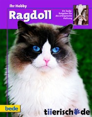 Ragdoll / Kieselbach