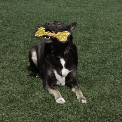 KONG Armor Bone Hundespielzeug – Spielspaß für deinen Vierbeiner