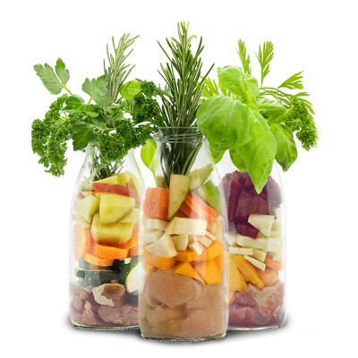 SmoothieDog Probierpaket "12er Mix" - für jeden Hund!