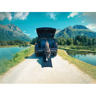 4pets Easy-Steps Teleskop Rampe für Hunde