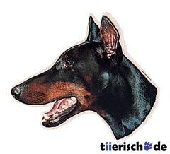 Hundeaufkleber Dobermann