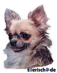 Aufkleber Chihuahua Langhaar