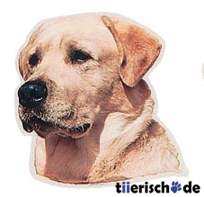 Aufkleber Labrador gelb