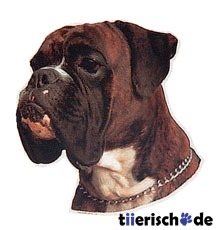 Boxer Aufkleber gestromt unkupiert