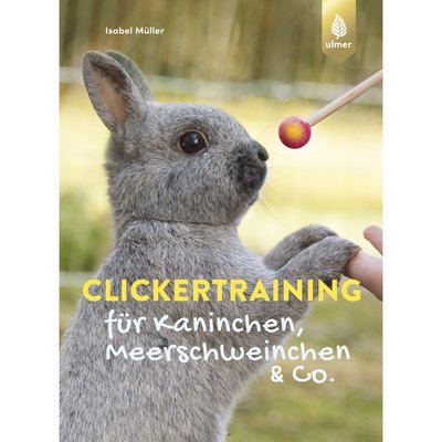 Clickertraining für Kaninchen