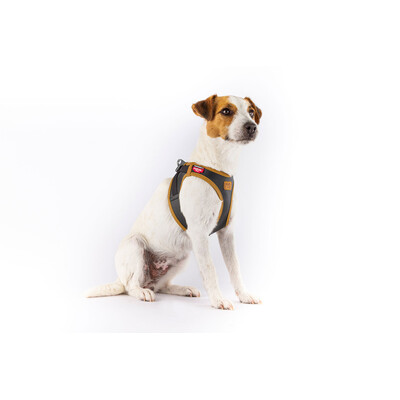 Curli Apple Leather Clasp Vest Geschirr für Hunde