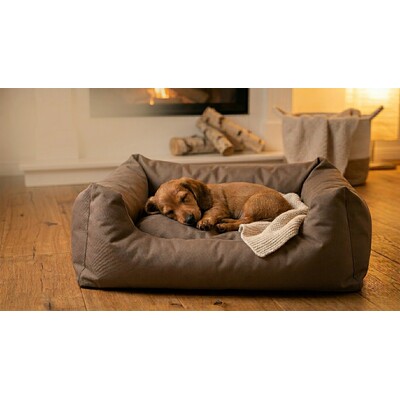 Impressionen zu Flamingo Hundebett Dreambay® Rechteck, Bild 1