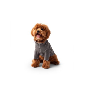 Warme hundemantel - Der absolute Favorit unter allen Produkten