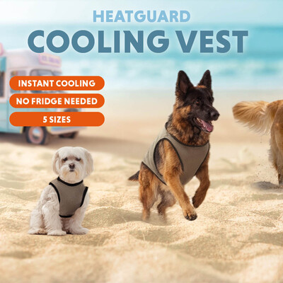 CoolPets Kühlweste für Hunde – Kälteschutz für Outdoor & Sommer