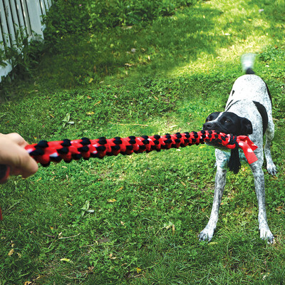 KONG Signature Rope Seilspielzeug