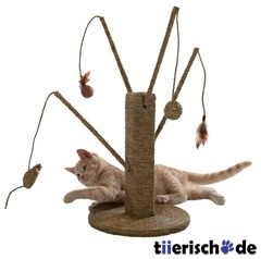 Kratzstamm Katze mit Seegras