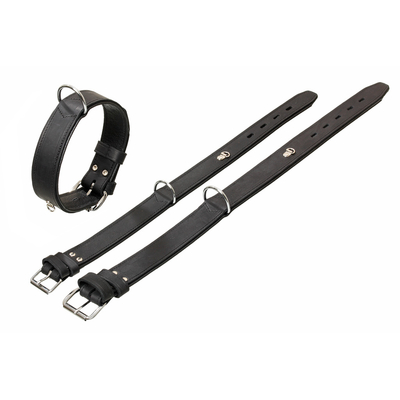 Karlie halsband - Die ausgezeichnetesten Karlie halsband im Überblick!