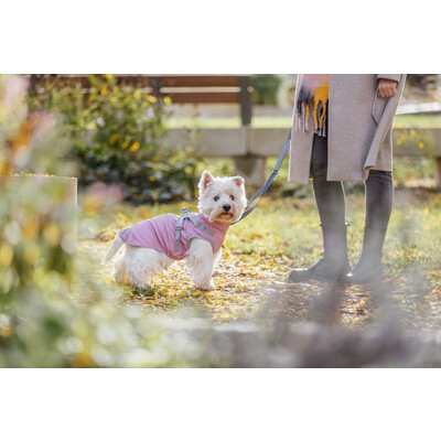 TRIXIE Geschirrmantel Pontis Rain