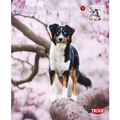 TRIXIE 2026 Kalender Australian Shepherd